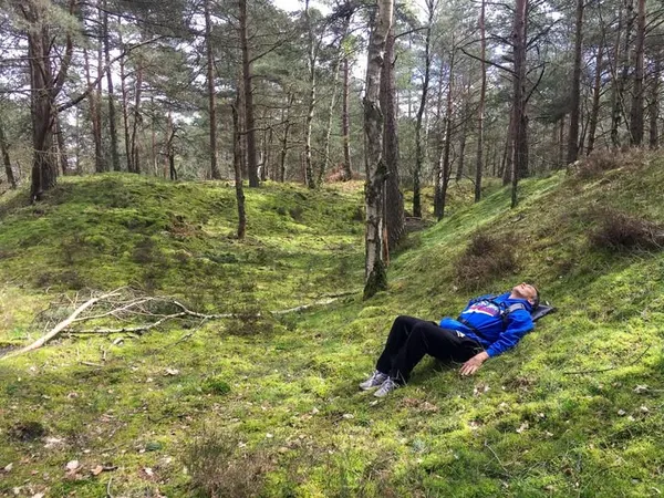 Bain de forêt