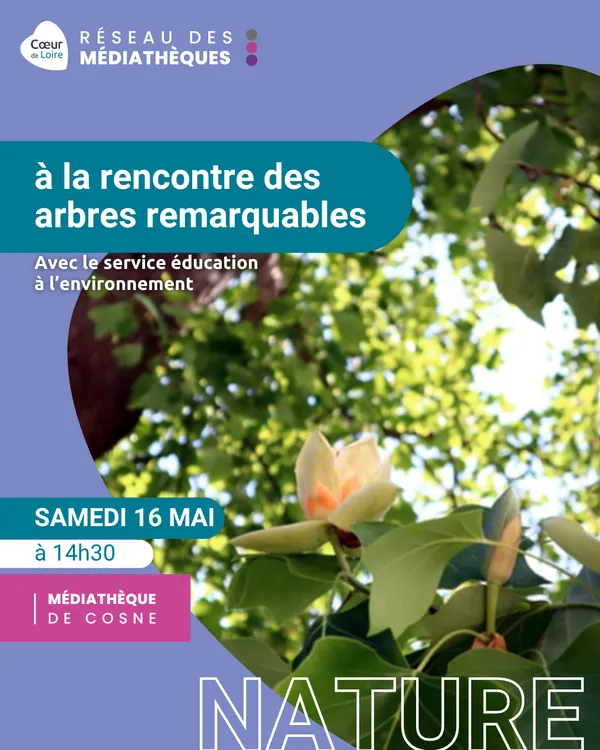 Balade à la rencontre des arbres remarquables