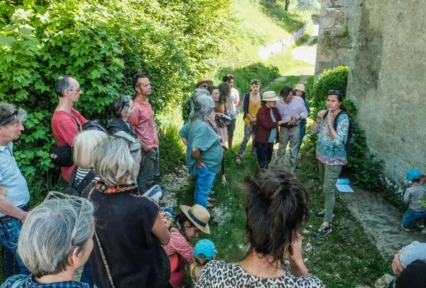 Balade champêtre- Découverte des usages des Plantes Sauvages