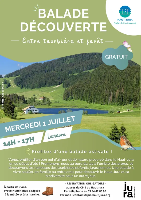Balade découverte : entre forêt et tourbières