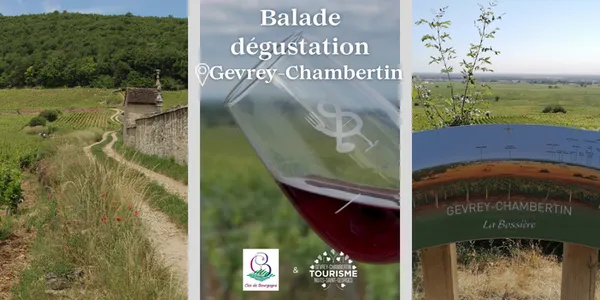 Balade dégustation dans les vignes