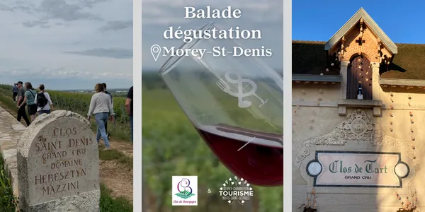 Balade dégustation dans les vignes