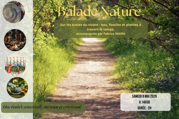 Balade nature "Sur les traces du vivant : eau, fossiles et plantes à travers le temps"