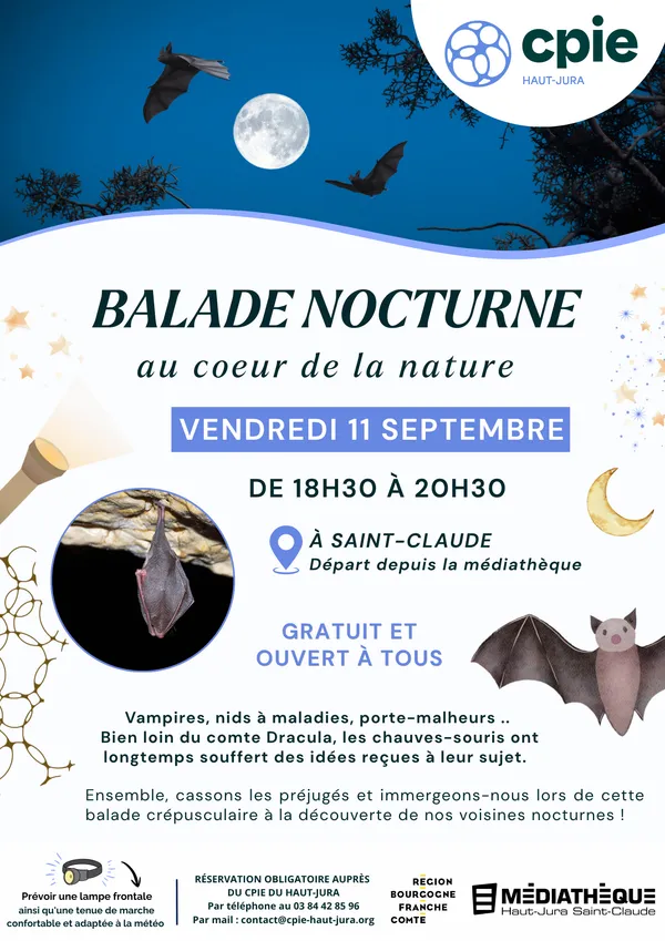 Balade nocturne au cœur de la nature