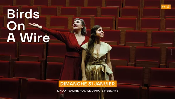 Birds On A Wire - Concert Musiques Actuelles