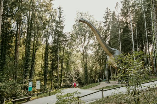 Visite du Parc Dino-Zoo