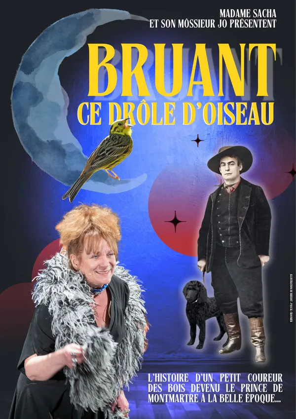 Balade nocturne du Ferrier de Tannerre - Bruant ce drôle d'oiseau