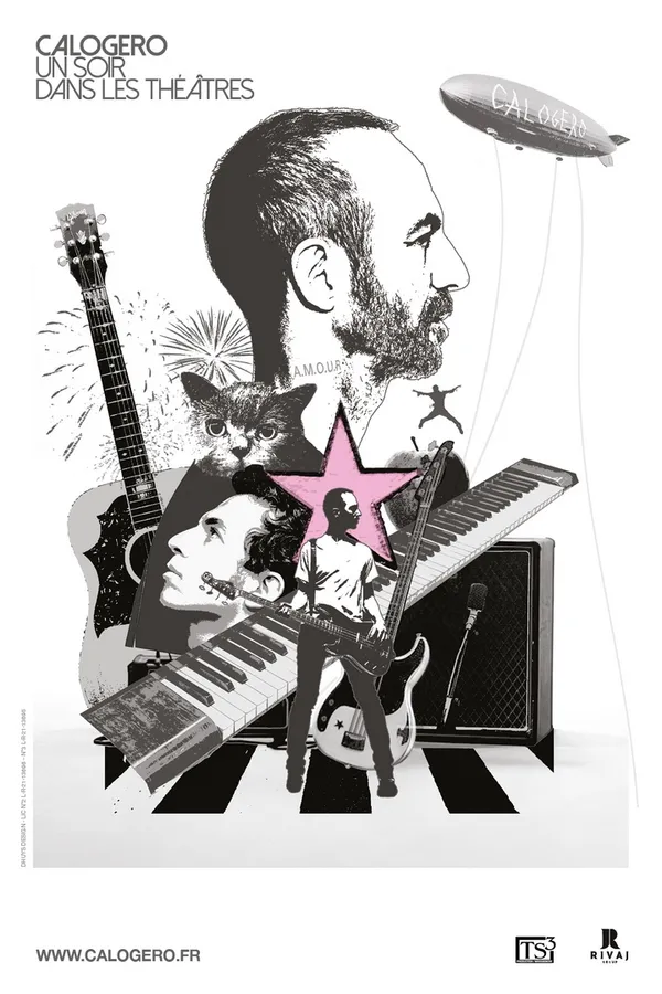 Festival Les Pluralies : Calogero