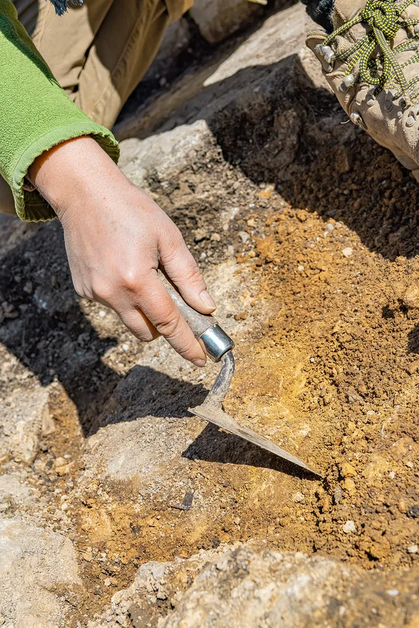 Des sols aux murs, entre fouilles et graffitis ! Les Journées européennes de l'archéologie