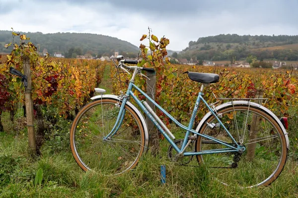 Randonnée cyclotouriste : Moment en famille (niveau difficile)