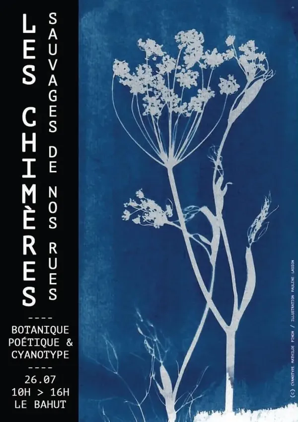 Chimères sauvages de nos rues