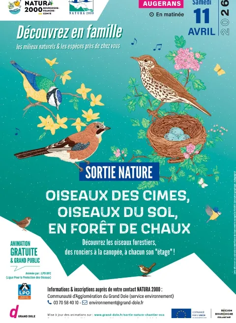 Sortie Nature : Oiseaux des cimes, oiseaux du sol en forêt de Chaux