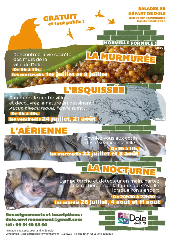 Média additionnel 1