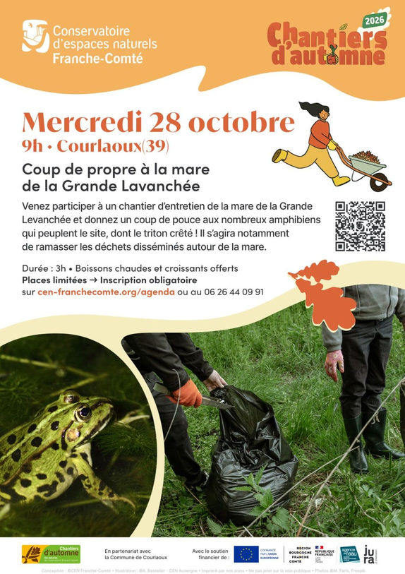 Chantier d'automne (chantier nature participatif)
