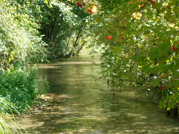Balades naturalistes sur la nappe de Dijon Sud et de la Cent Fonts - Parcours 1 (Fénay-Saulon-la-Rue)