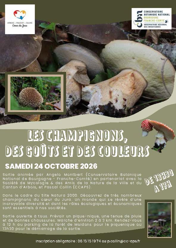 Les champignons, des goûts et des couleurs