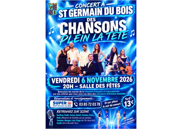 Des chansons plein la tête