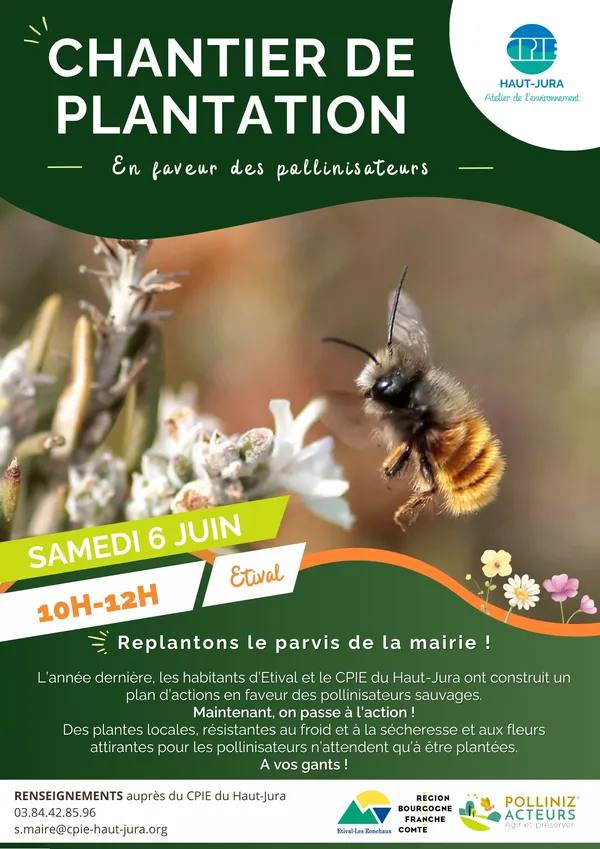 Chantier de plantation en faveur des pollinisateur