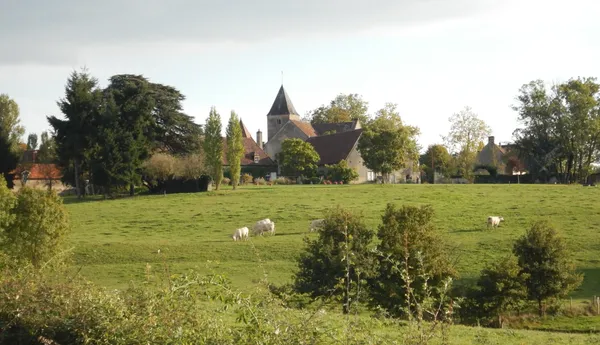 Visite guidée : Balade nature à Saint-Seine