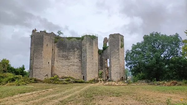 Visites guidées des ruines du château de Montfort