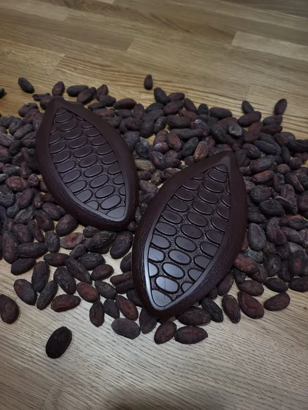 Visite de la chocolaterie Drouhet