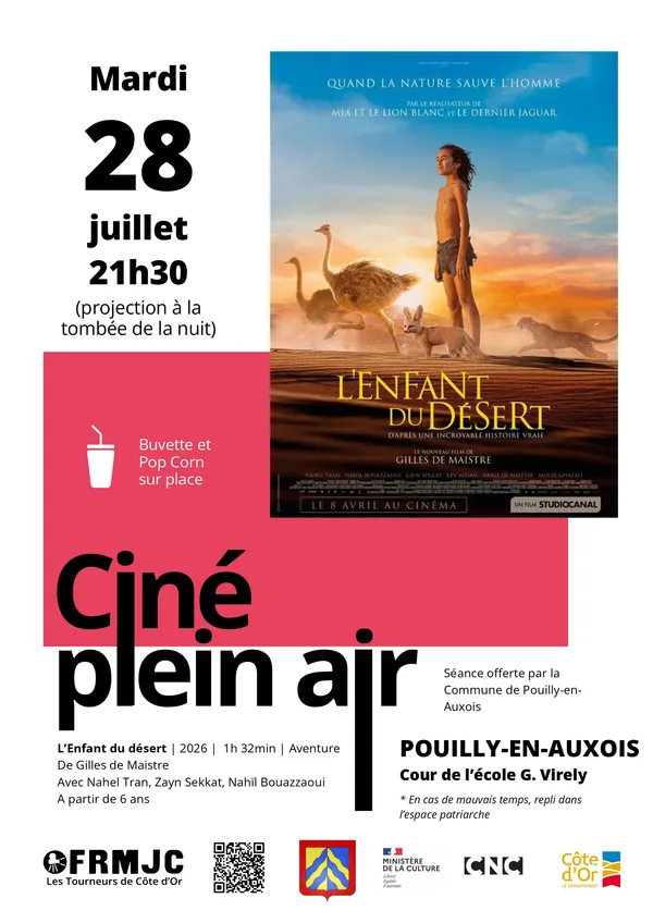 Ciné plein air (Pouilly-en-Auxois)