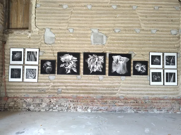 Les Artistes au Jardin