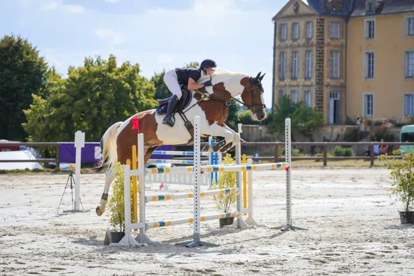 Concours de saut d’obstacles