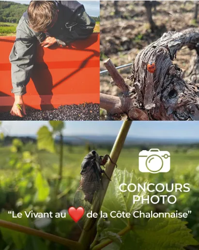 Concours photos