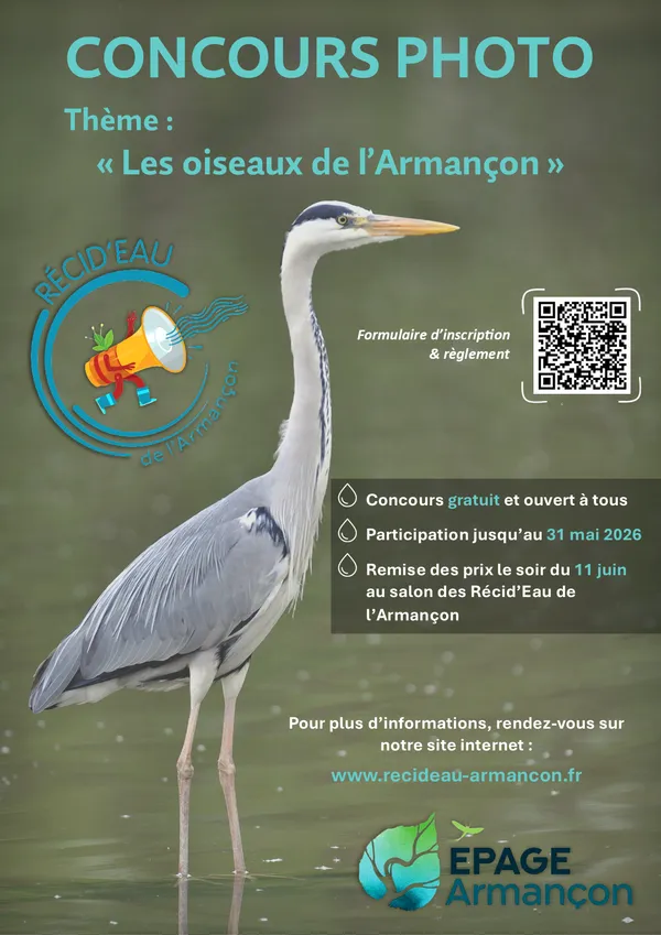 Concours photo – Les oiseaux de l’Armançon