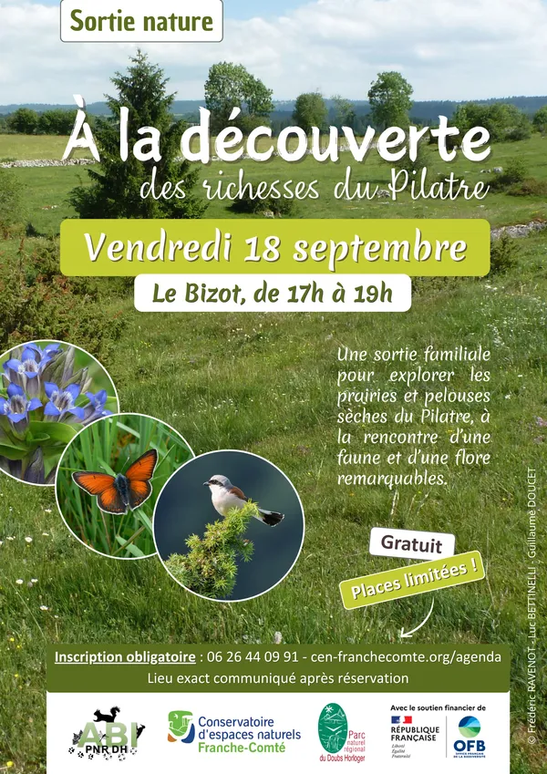 Balade nature "Prairies et pelouses sèches du Pilatre"