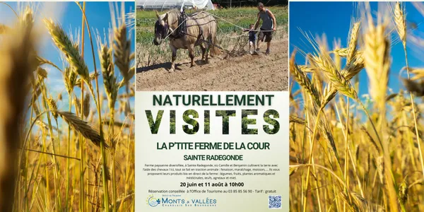 Naturellement visites : visites de la p'tite ferme de la cour