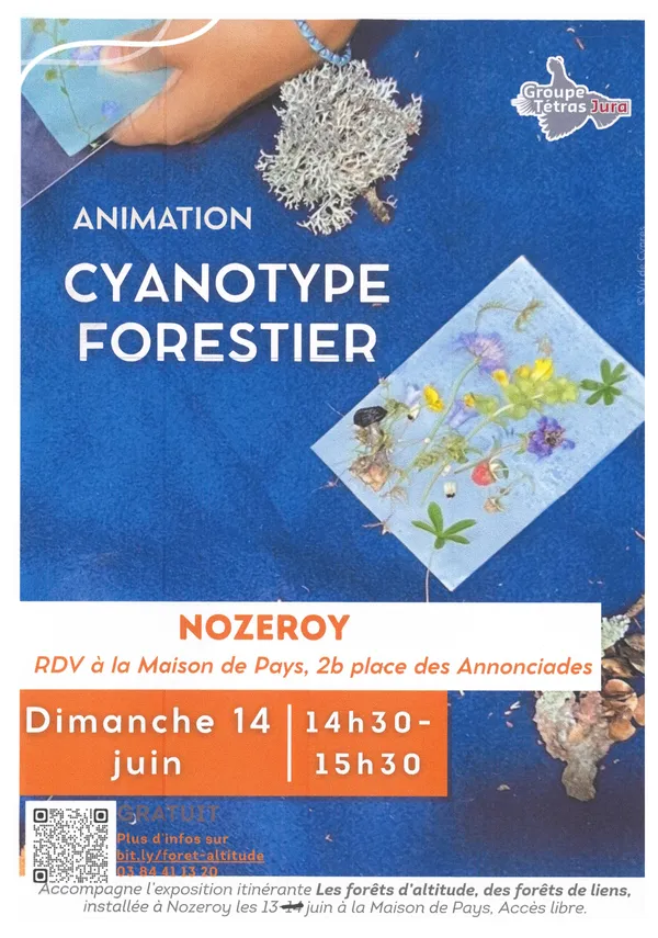 Animation cyanotype forestier