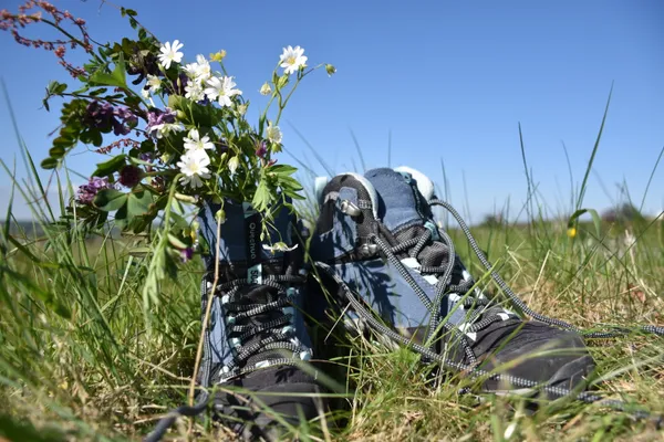 Randonnée " Flore printanière" au départ de Montboillon