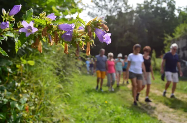 Festivités du 14 juillet : Balade gourmande Pougues les Eaux