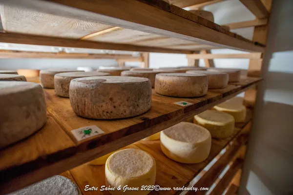 De Ferme En Ferme : La Ferme des Muses