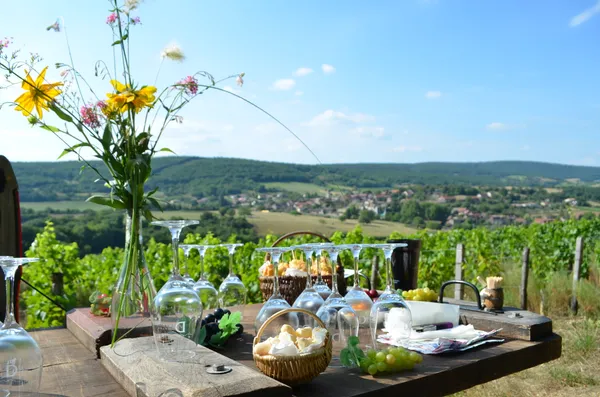 Dégustation dans les vignes