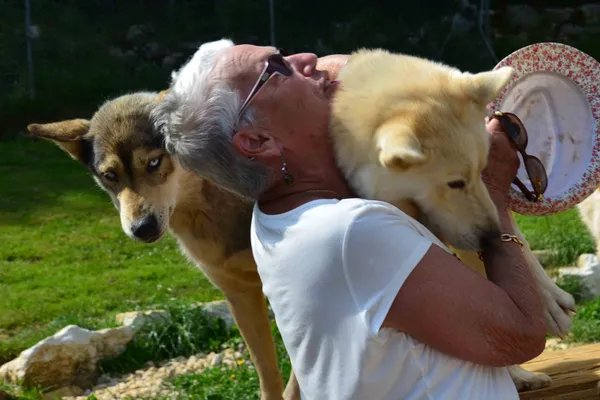 Visite de parc et immersion chiens de traineaux