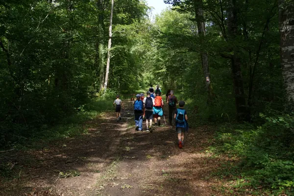 Balade nature en forêt
