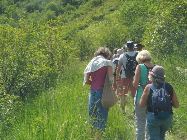 Sortie Botanique ENS Vuillafans-châteauvieux les fossés