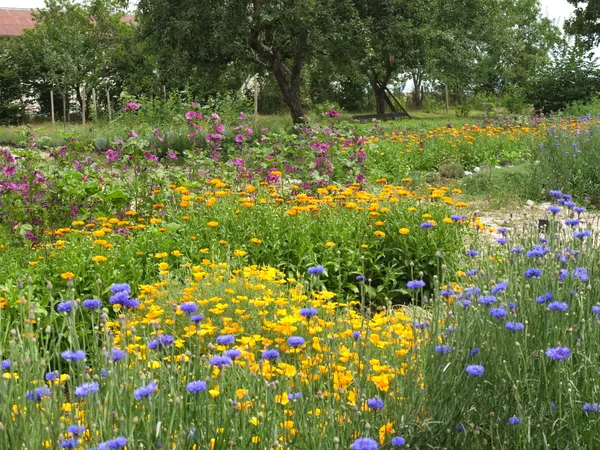 Visite des jardins et de la distillerie