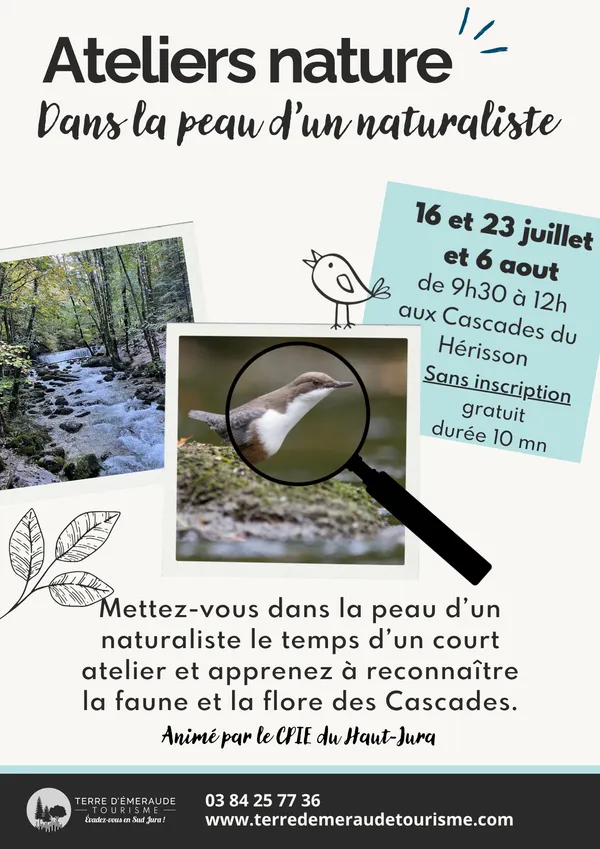 Atelier nature : Dans la peau d'un naturaliste