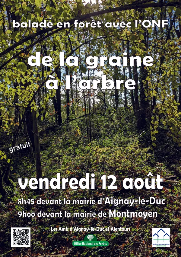 Balade De la graine à larbre