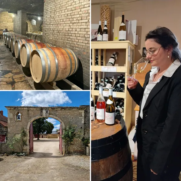 Dégustation de Vins