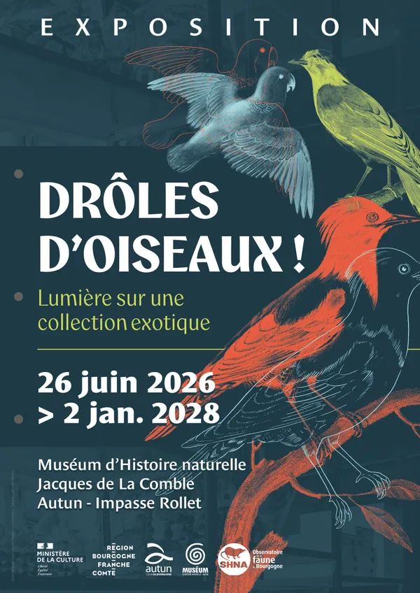 Exposition "Drôles d'oiseaux : lumière sur une collection exotique"