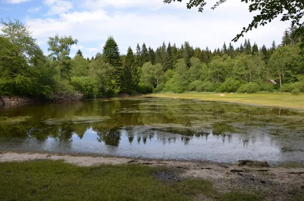 Balade nature : Préperny, trésor du Haut-Folin, lundi 13 avril 2026