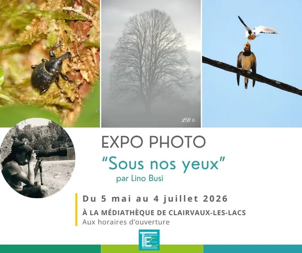 Expo photo "sous nos yeux"