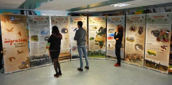 Exposition de photos animalières à Domecy-sur-Cure