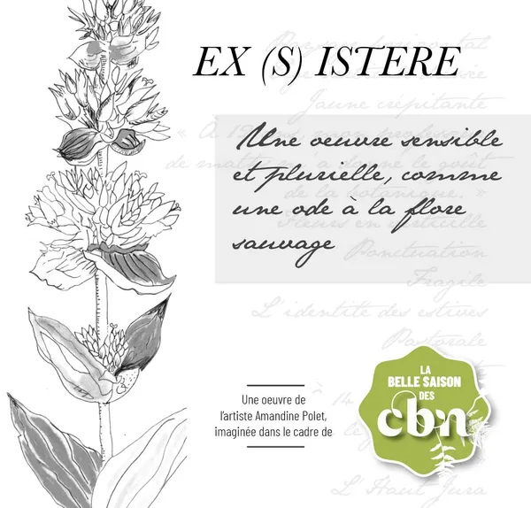 Exposition de l'oeuvre Ex(s)istere* : une ode au végétal sauvage