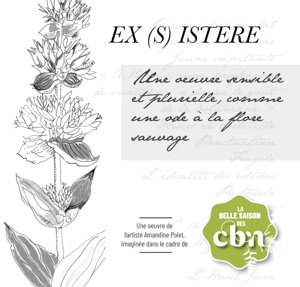 Exposition de l'oeuvre Ex(s)istere* : une ode au végétal sauvage